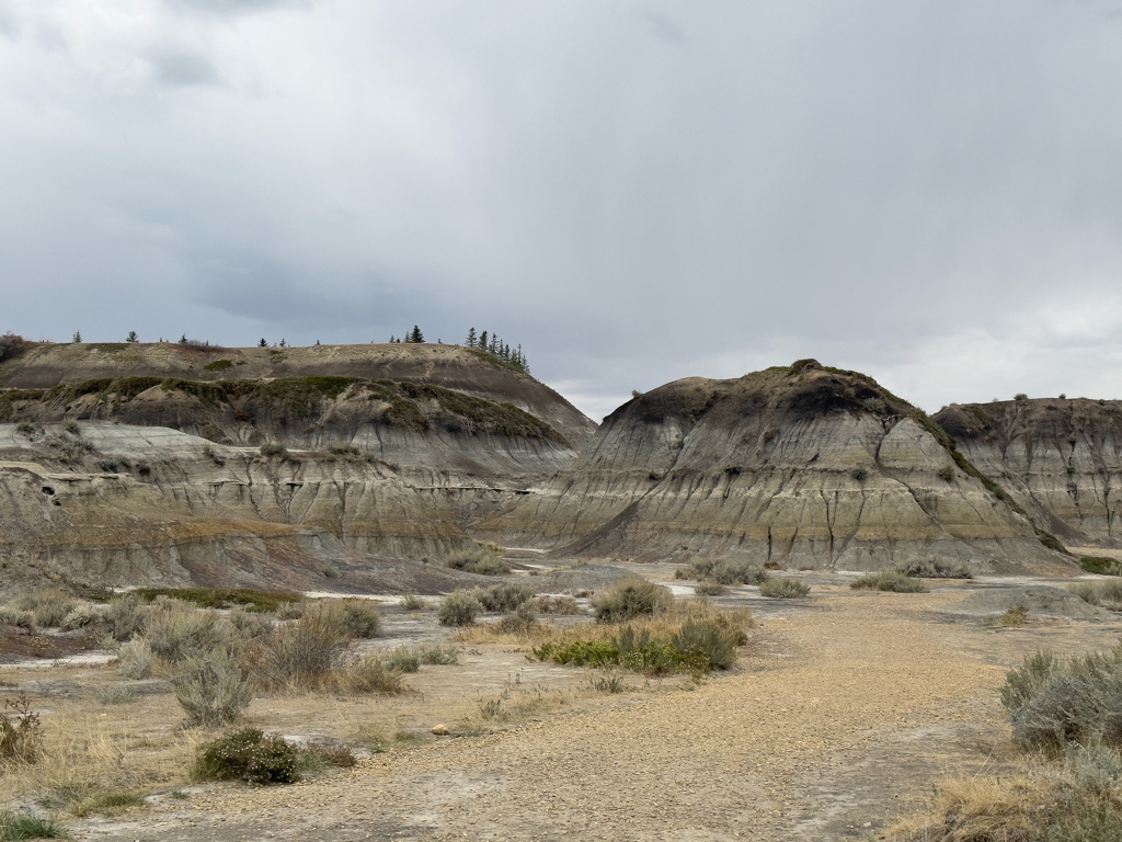 Spazierweg durch den Horseshoe Canyon, Drumheller