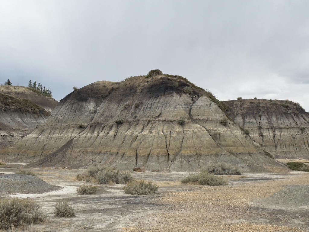 Spazierweg durch den Horseshoe Canyon, Drumheller