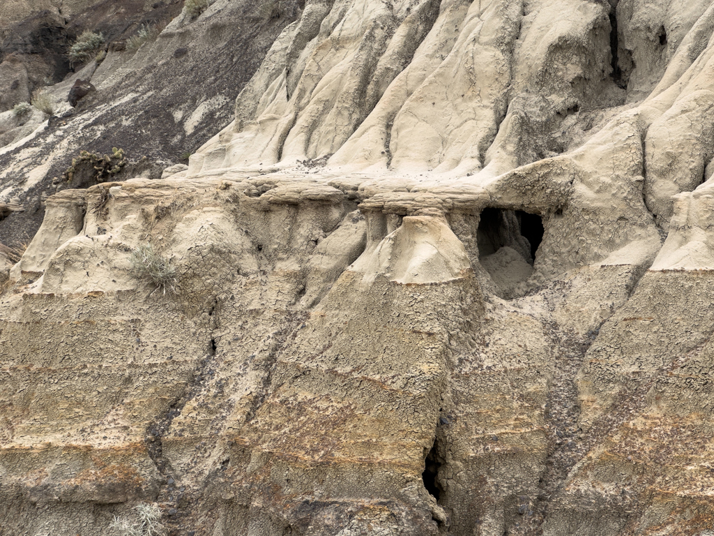 Hoodoos und ausgewaschene Gesteinsformationen im Horseshoe Canyon, Drumheller