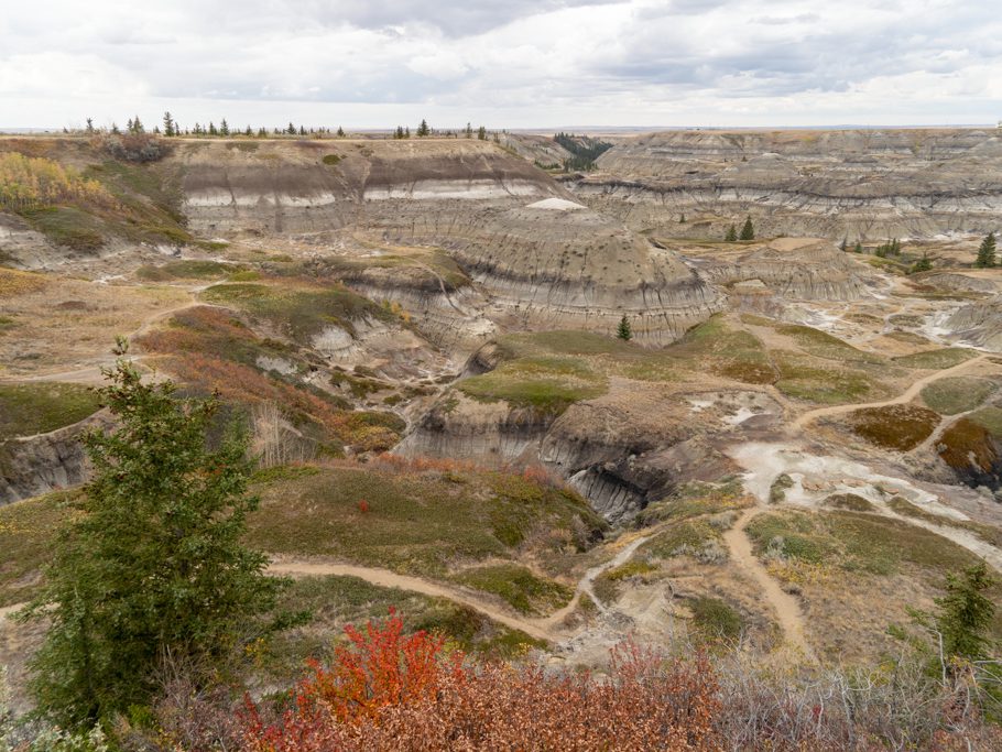 Aussicht auf den Horseshoe Canyon, Drumheller