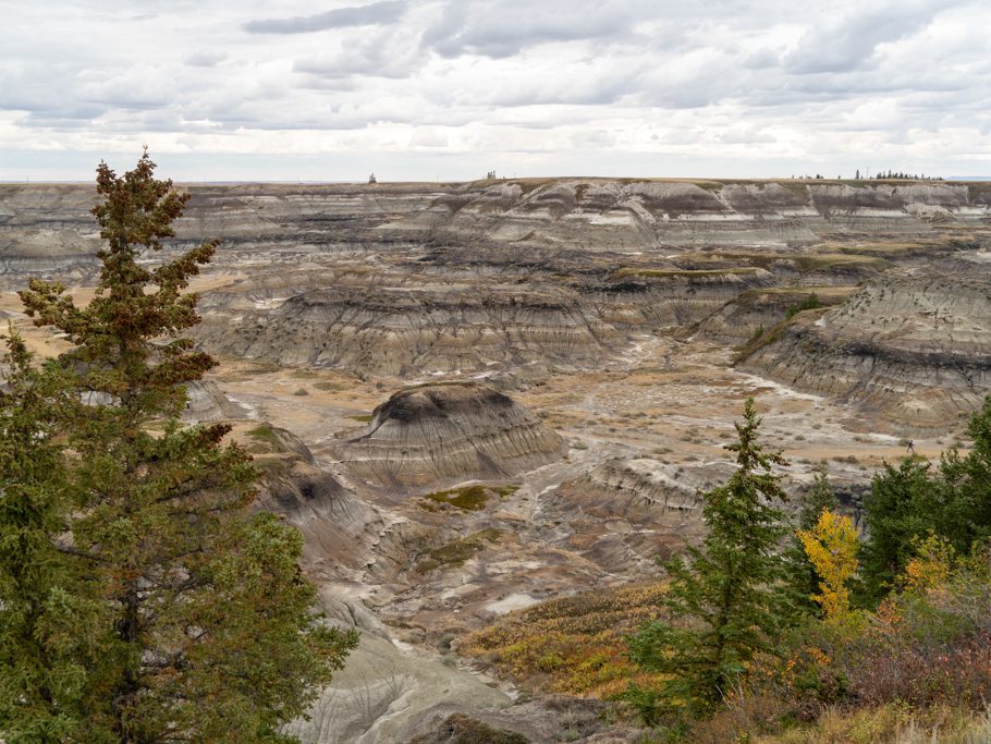 Panorama-Aussicht über den Horseshoe Canyon, Drumheller