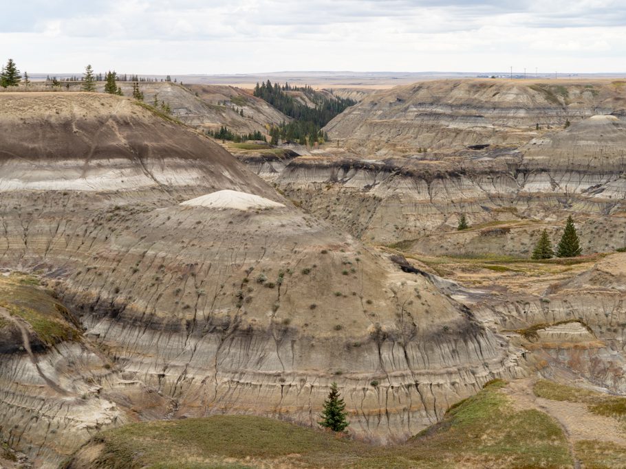 Blick über den Horseshoe Canyon, Drumheller