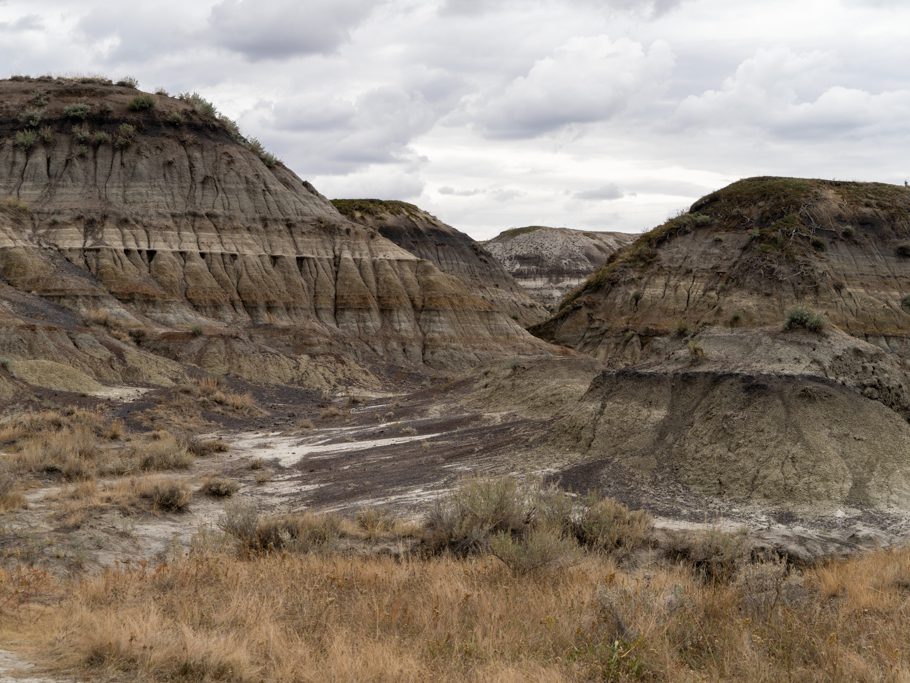 Horseshoe Canyon, Drumheller