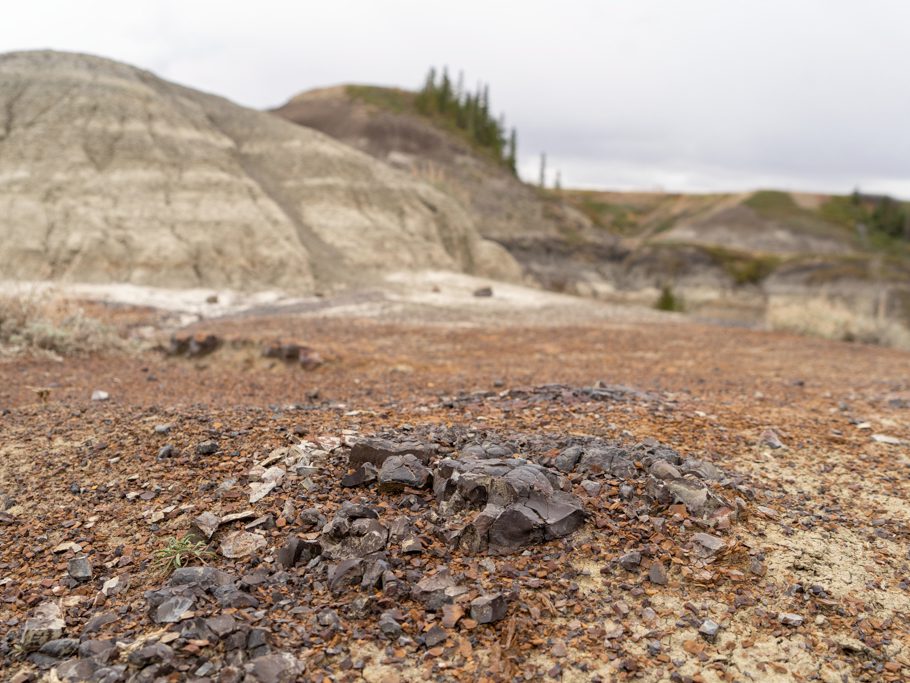 Rotes, schweres, eisenhaltiges Gestein im Horseshoe Canyon, Drumheller