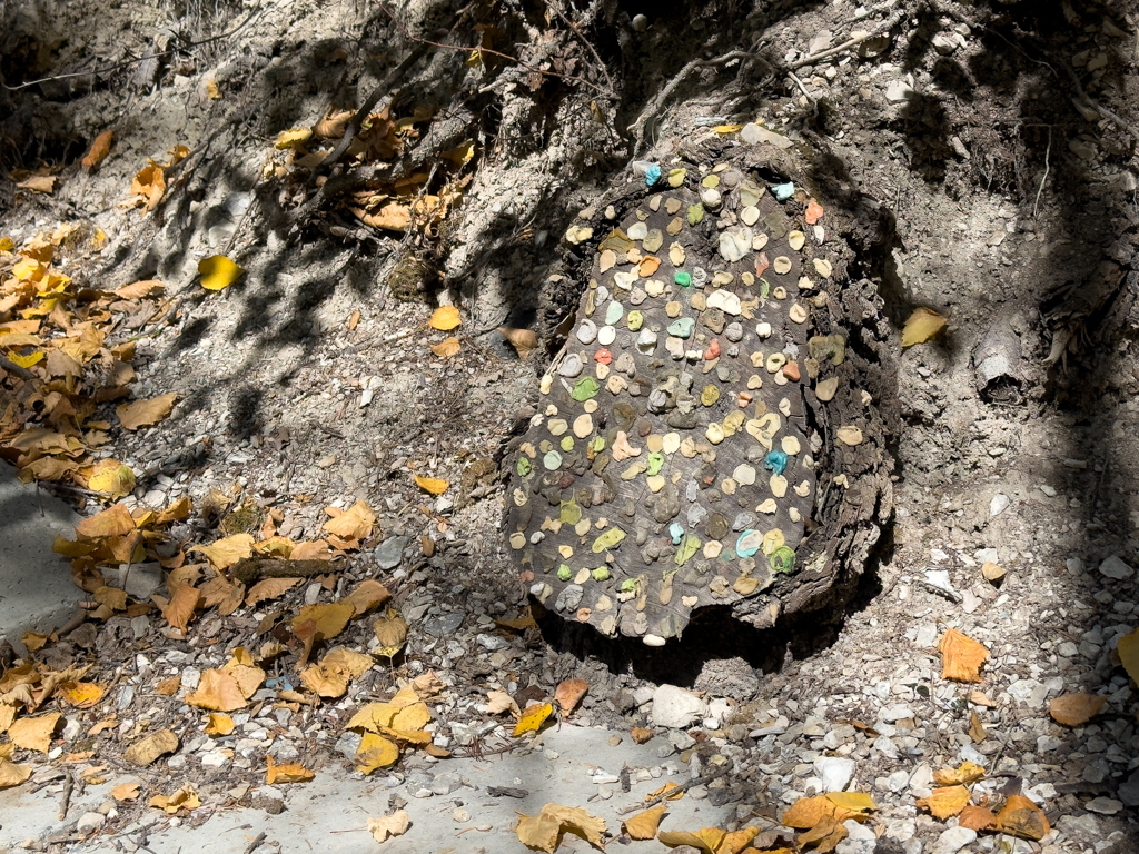 "Kaugimmidenkmal" bei den Lussier Hot Springs