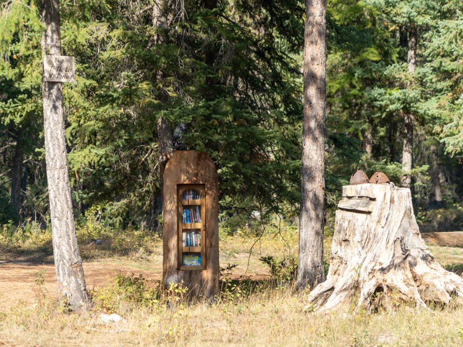 Die kleine "Baumbibliothek" im Blacksmith Camp