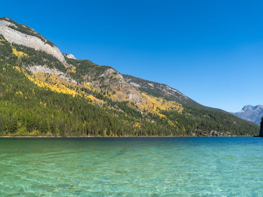 Am türkisfarbenen Whiteswan Lake