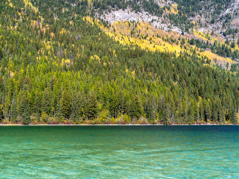 Am türkisfarbenen Whiteswan Lake