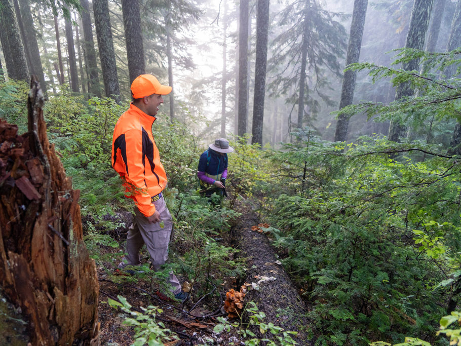 Beim Mushroom Hunting