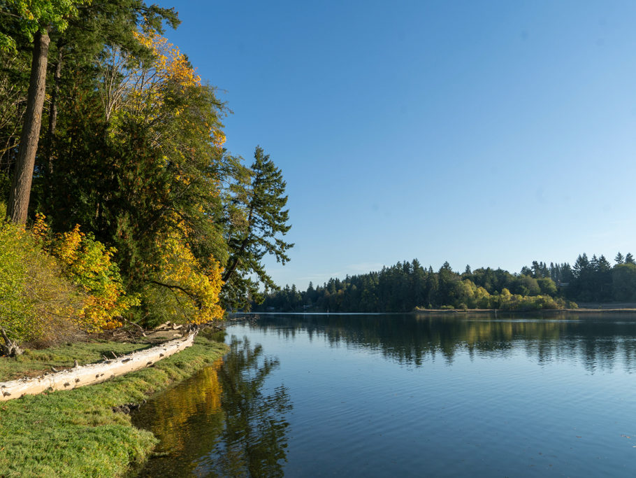 Henderson Inlet bei Flut, Olympia