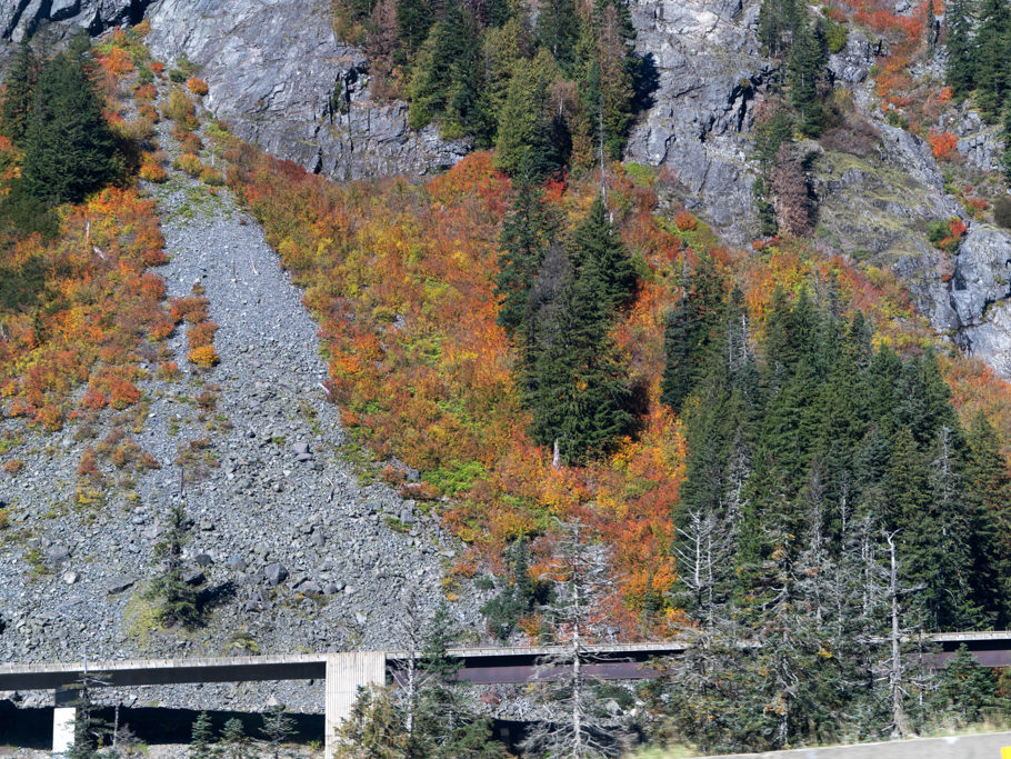 Herbstfarben, auf dem Interstate 90