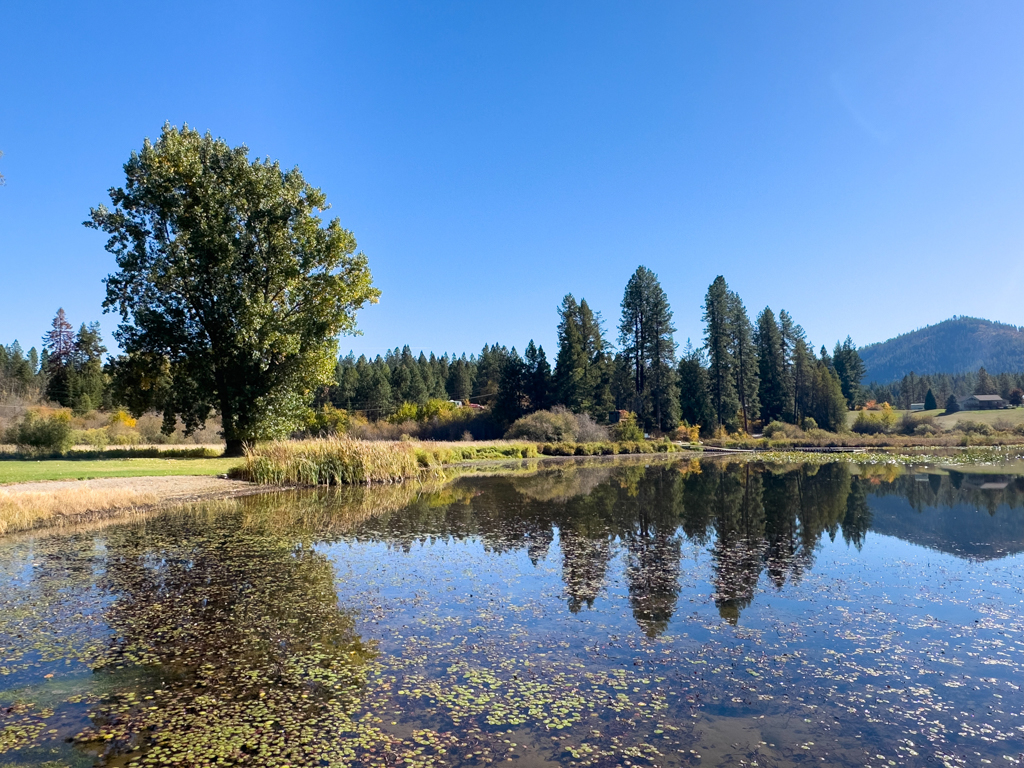 Zmittag am Rose Lake