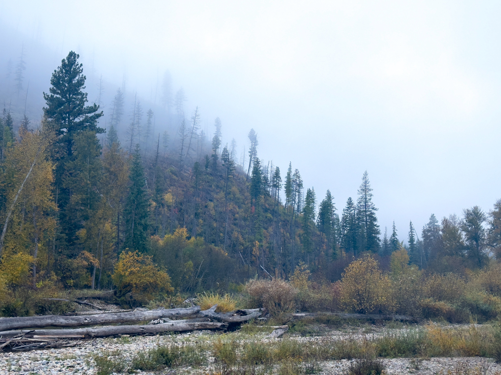 Herbststimmung am Big Pine Campground