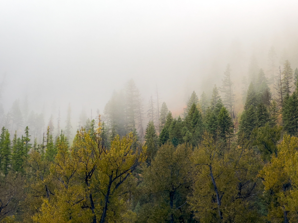Herbststimmung am Big Pine Campground