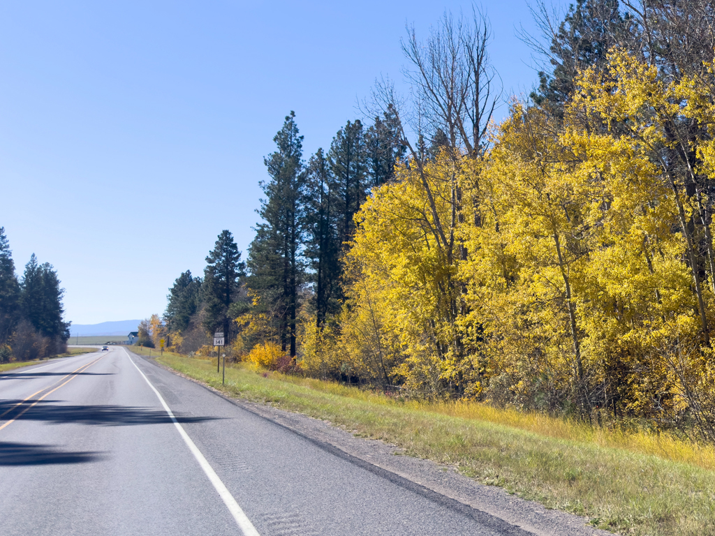 Goldener Herbst