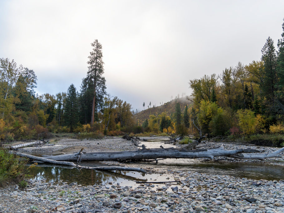 Herbststimmung am Big Pine Campground