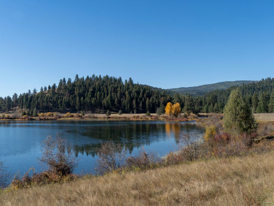Zmittag am Rose Lake