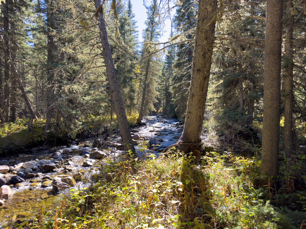 kleiner Creek neben dem Wanderweg zu den spanish peaks