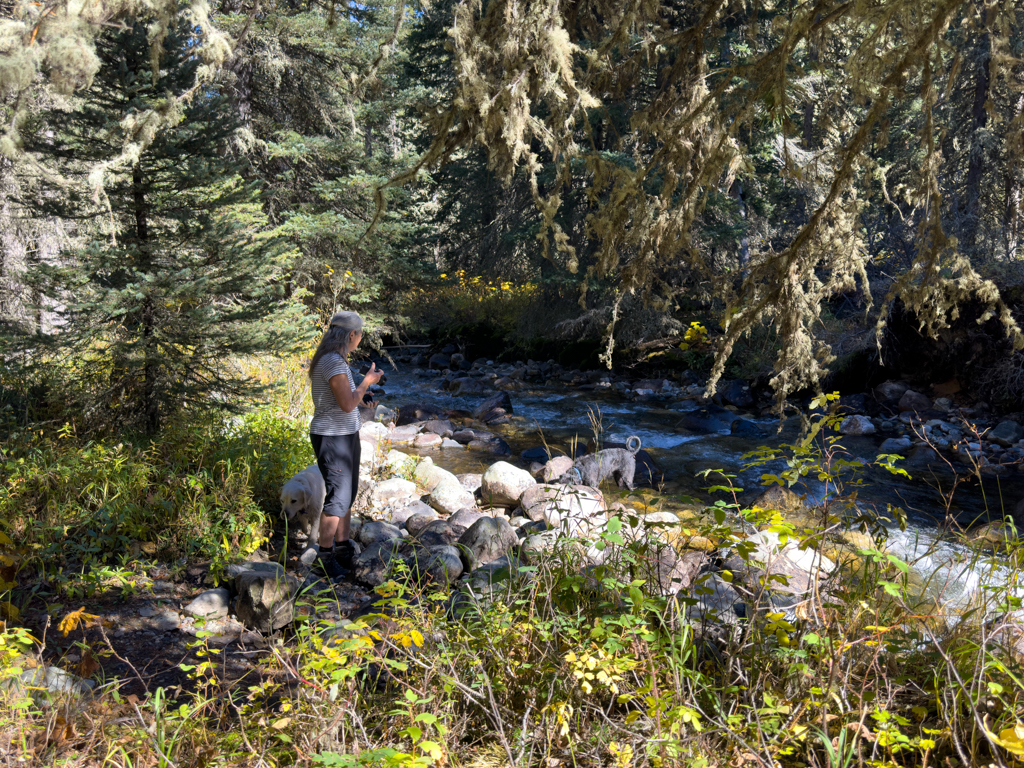 kleiner Creek neben dem Wanderweg zu den spanish peaks