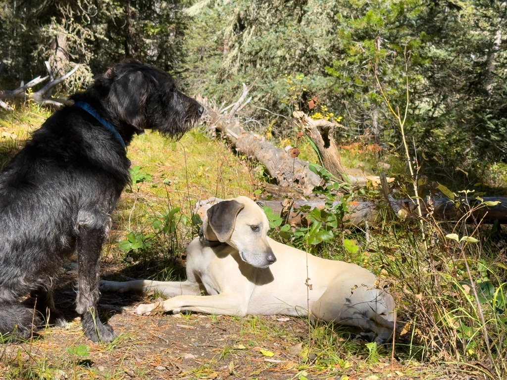 Oskar und Pip während der Wanderpause