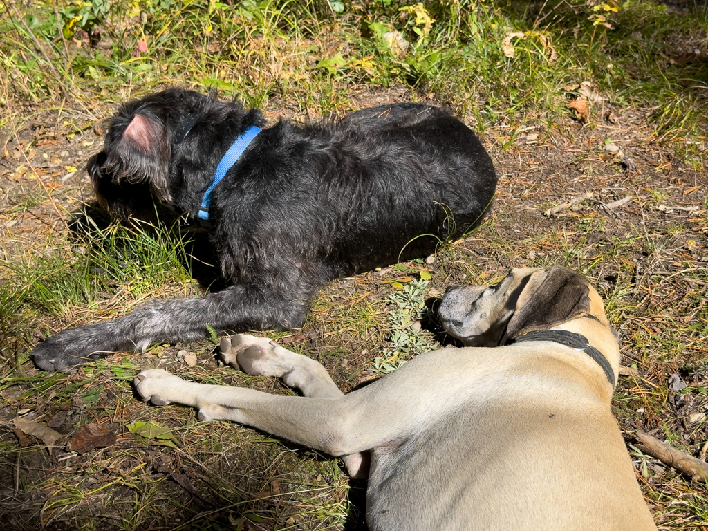 Oskar und Pip während der Wanderpause