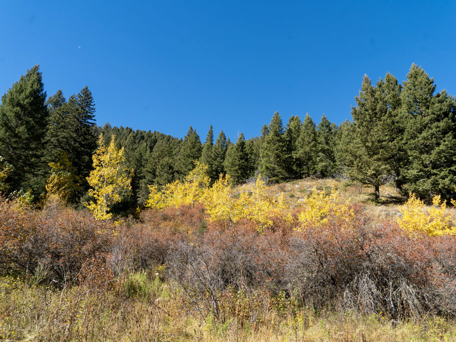 Leuchtende herbstliche Farbpracht auf der Wanderung zu den spanish peaks