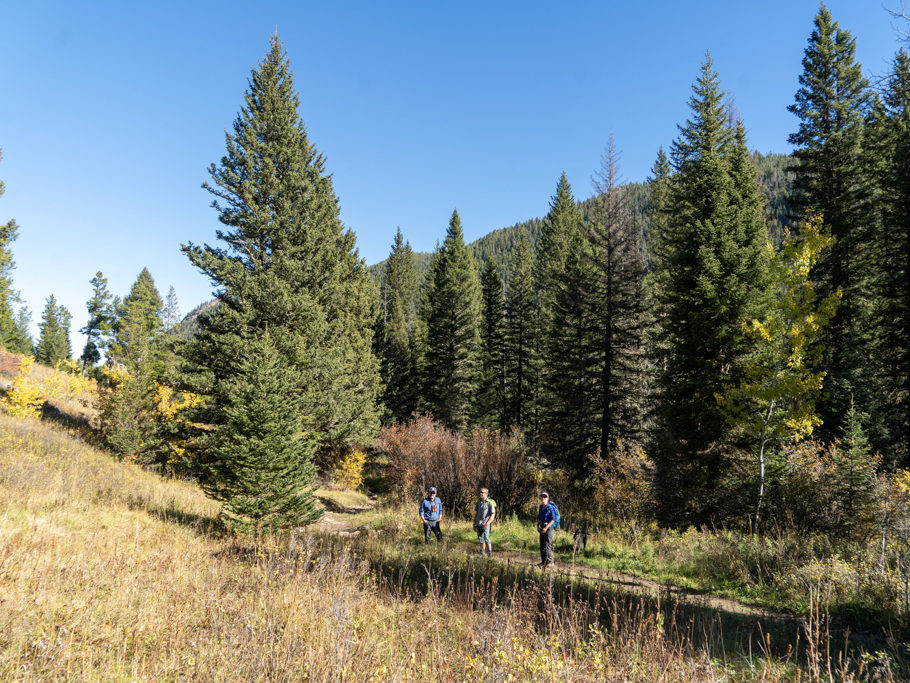 Jo, Krista und Mathias während der Wanderung zu den spanish peaks