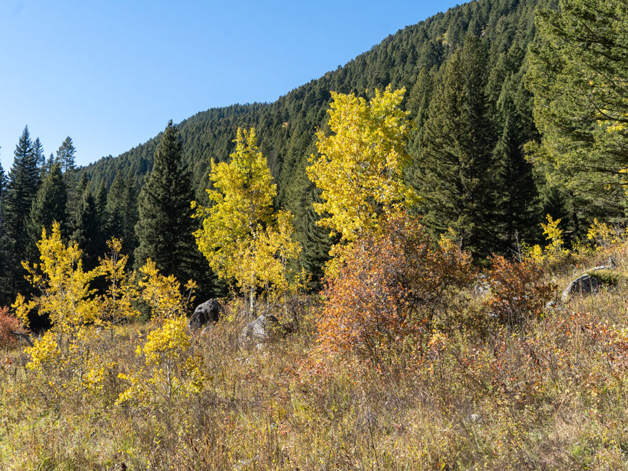 Leuchtende Farbenpracht auf dem Weg der Wanderung