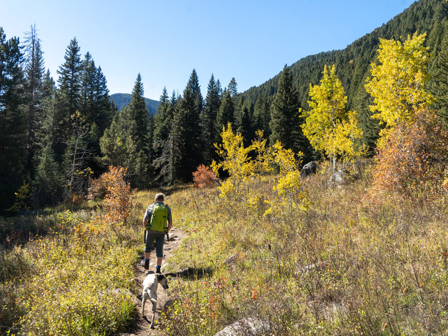 Jo mit der leuchtenden Farbenpracht auf dem Weg der Wanderung