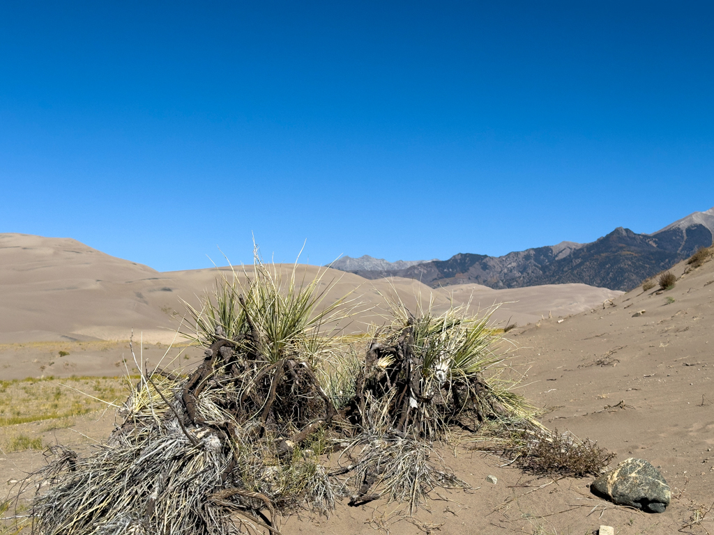 vergangenes Leben in den Great Sand Dunes