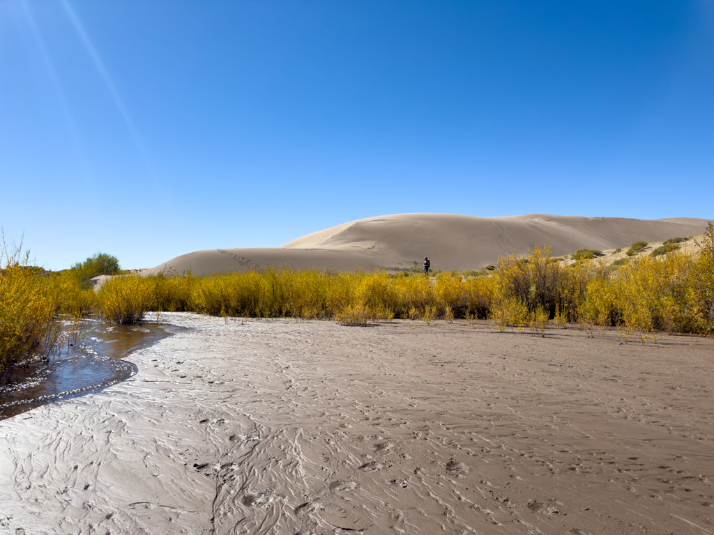 Wo es Wasser hat, lebt die Great Sand Dunes