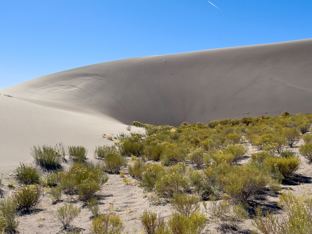 Während der Wanderung auf den Great Sand Dunes