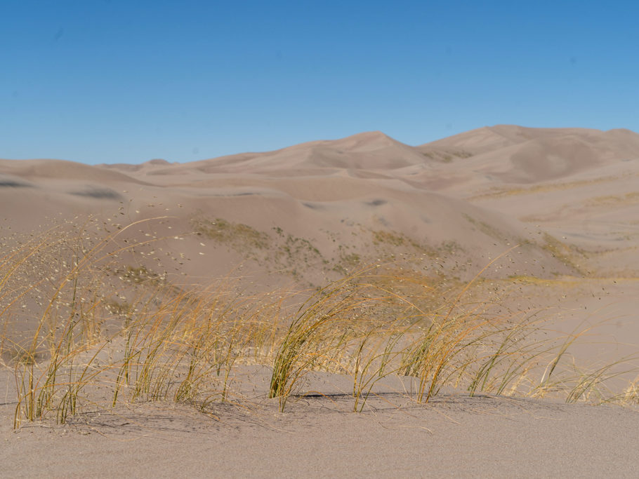 in den Great Sand Dunes