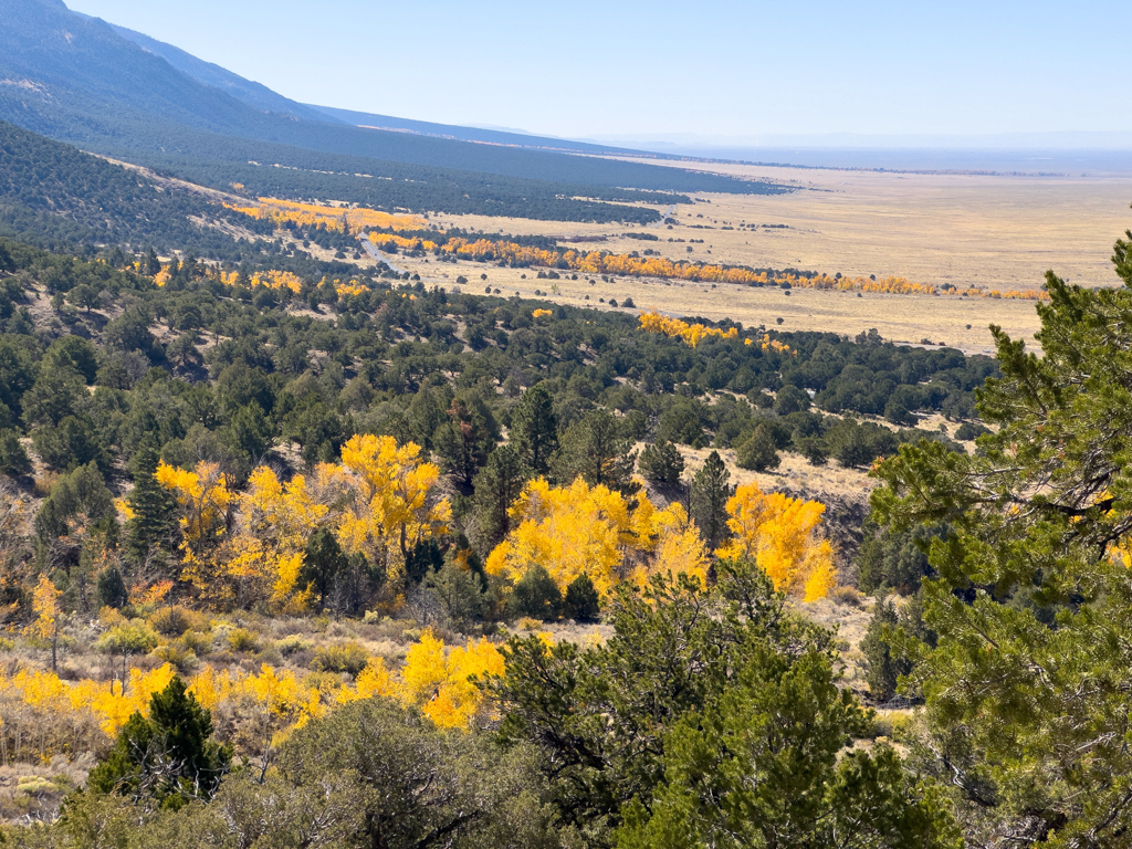 Blick ins Grüne und Talebene bei den Great Sand Dunes