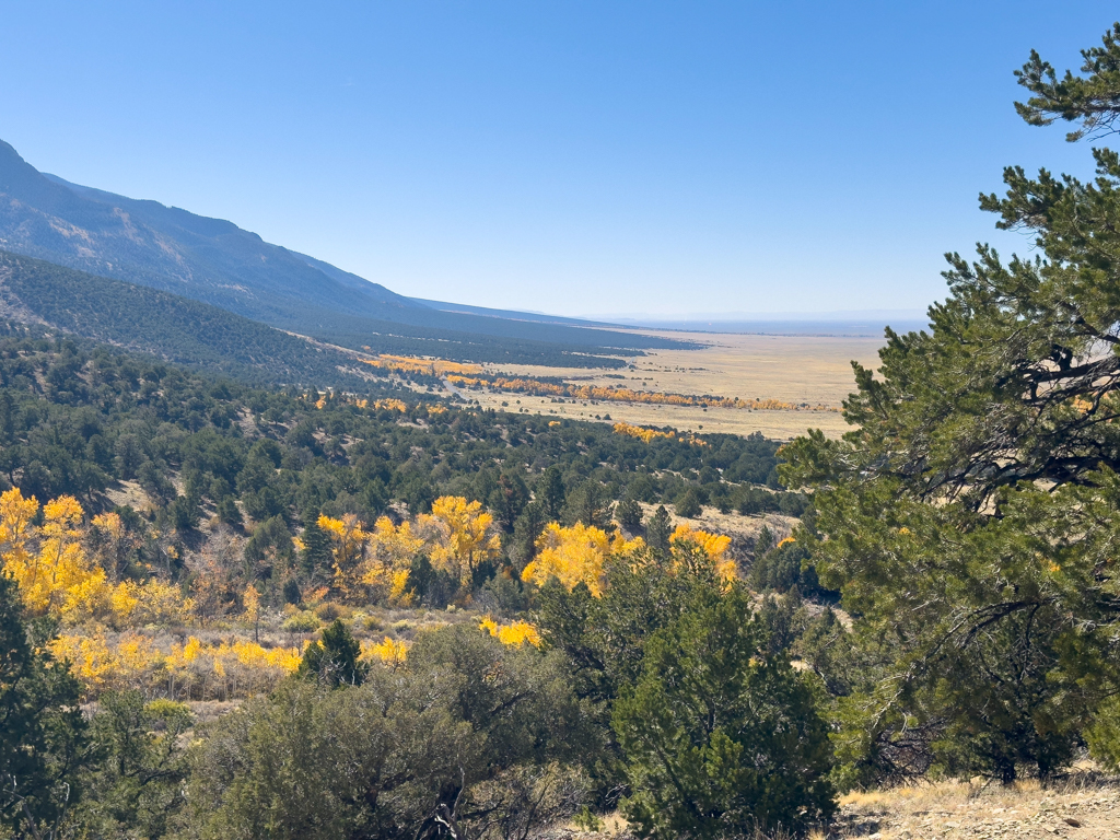 Blick ins Grüne und Talebene bei den Great Sand Dunes