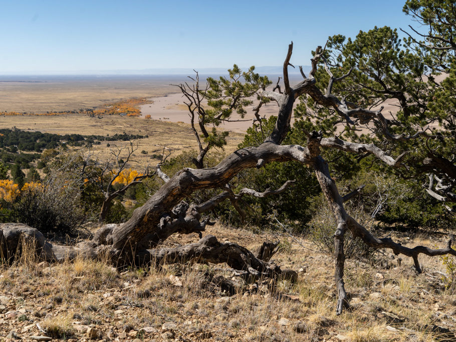 Sicht vom Overlook auf die Landschaft bei den Great Sand Dunes