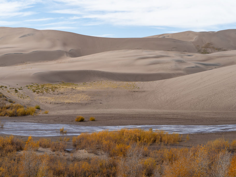 Fluss mit Grün bei den Great Sand Dunes