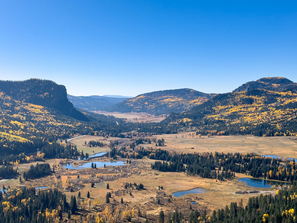 Leuchtend gelbe Aspen im mitten grüner Nadelbäume unten im Tal vom Wolf Creek Pass aus gesehen