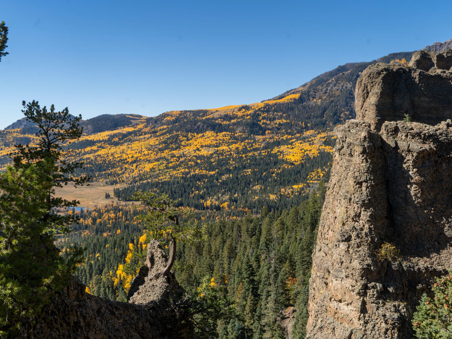 Leuchtend gelbe Aspen im mitten grüner Nadelbäume vom Wolf Creek Pass aus gesehen