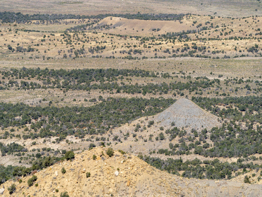 Prärielandschaft im Mesa Verde NP