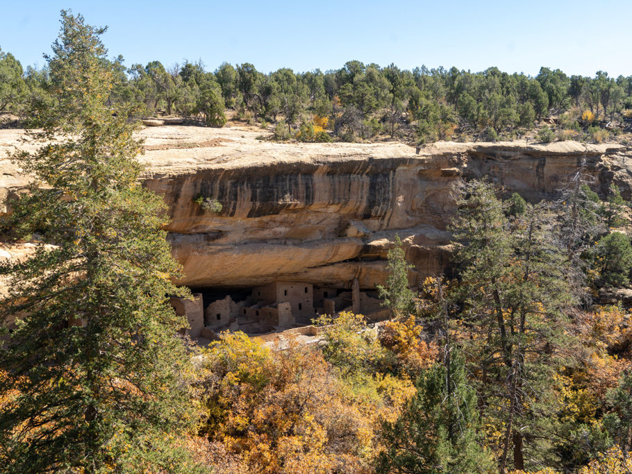 Blick auf das Bruce Tree House