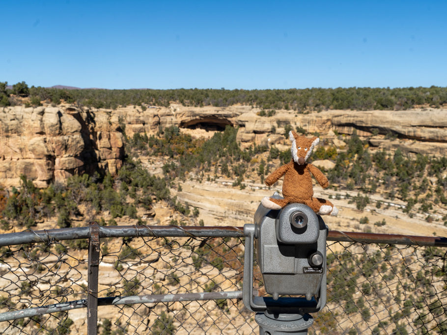 Mo sieht fern im Canyon mit dem Bruce Tree House im Mesa Verde NP