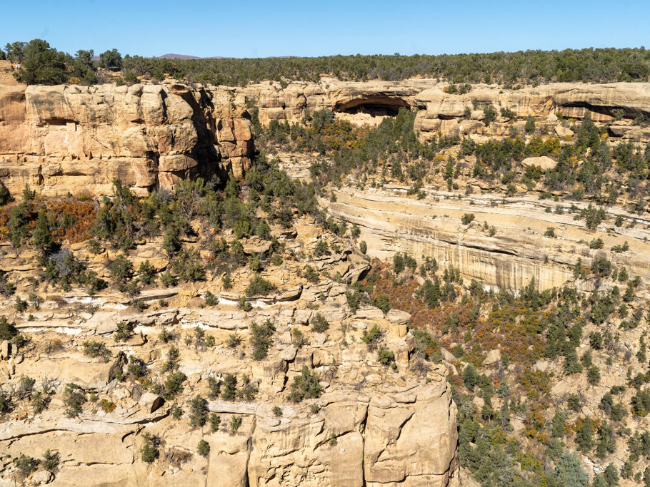 Canyon mit dem Bruce Tree House im Mesa Verde NP