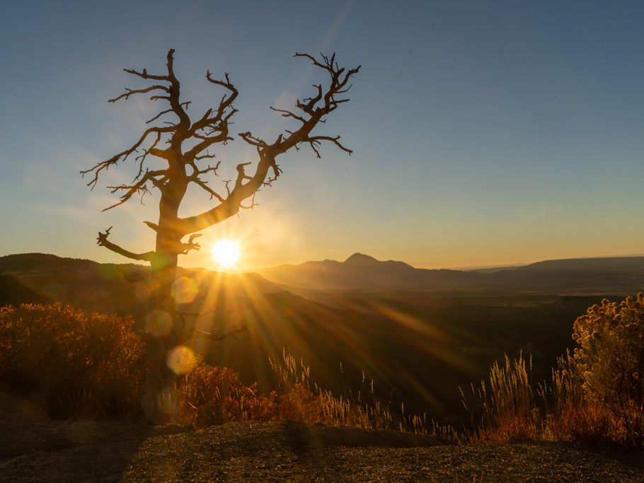 Abendstimmung im Mesa Verde NP mit sleeping Ute im Hintergrund