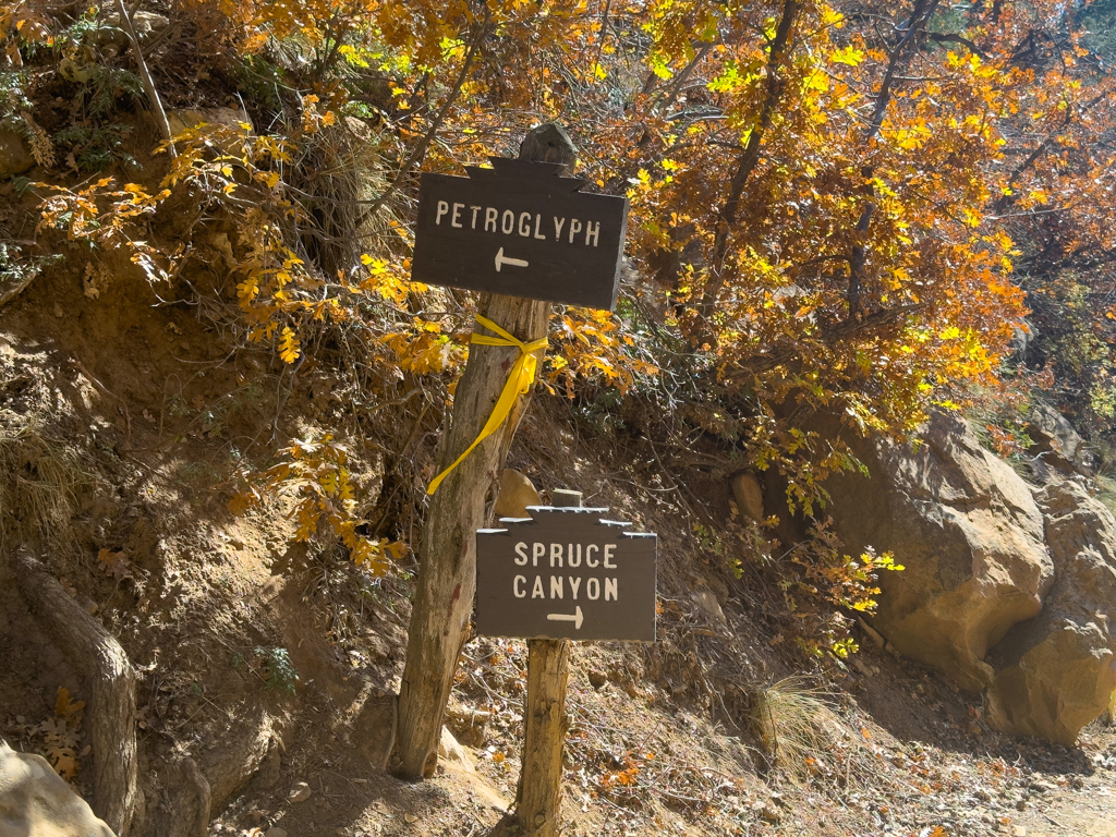 wir biegen links zu den Petroglyphen ab