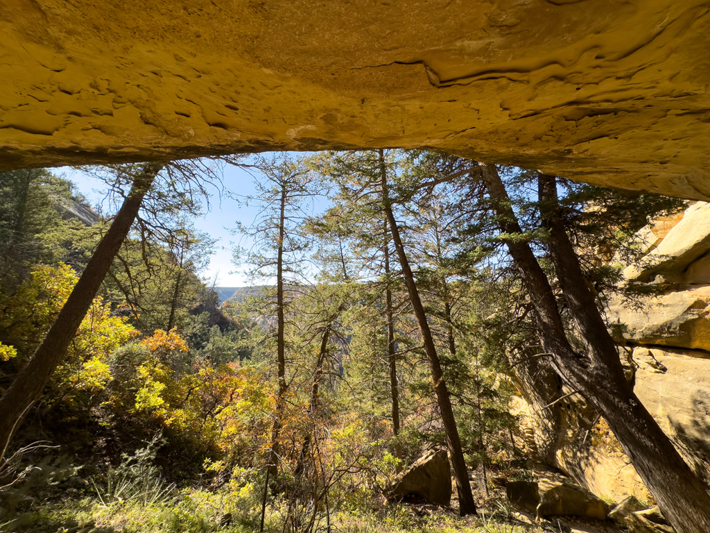 Aussicht ins Grüne auf dem Weg zu den Petroglyphen