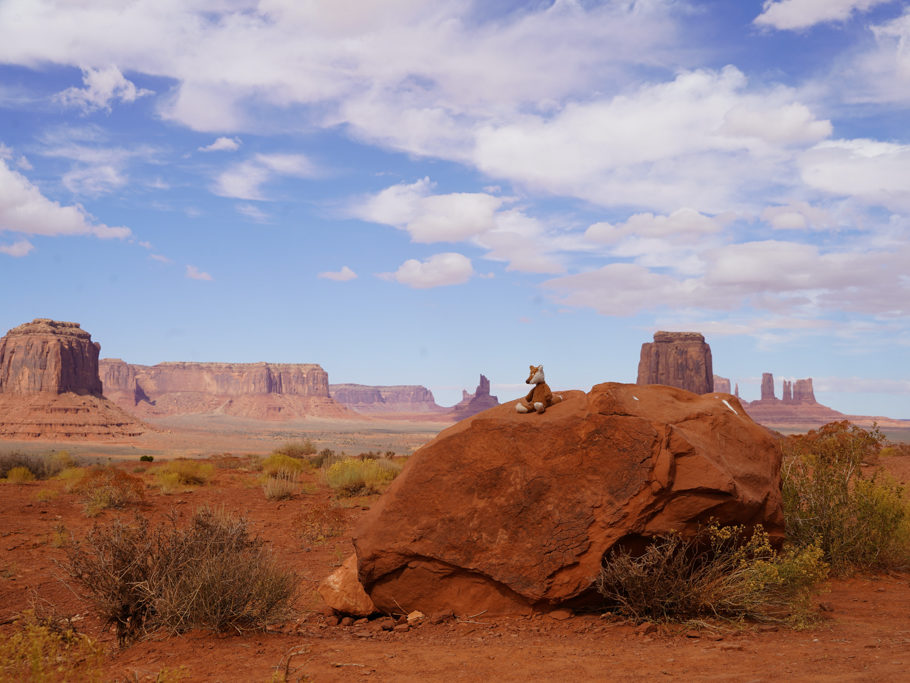 Mo macht Pause. Links East Mitten Butte, rechts Merrick Butte