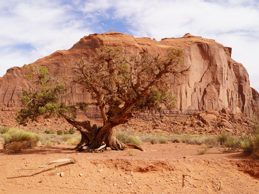 Auf der Tour durch das Monument Valley