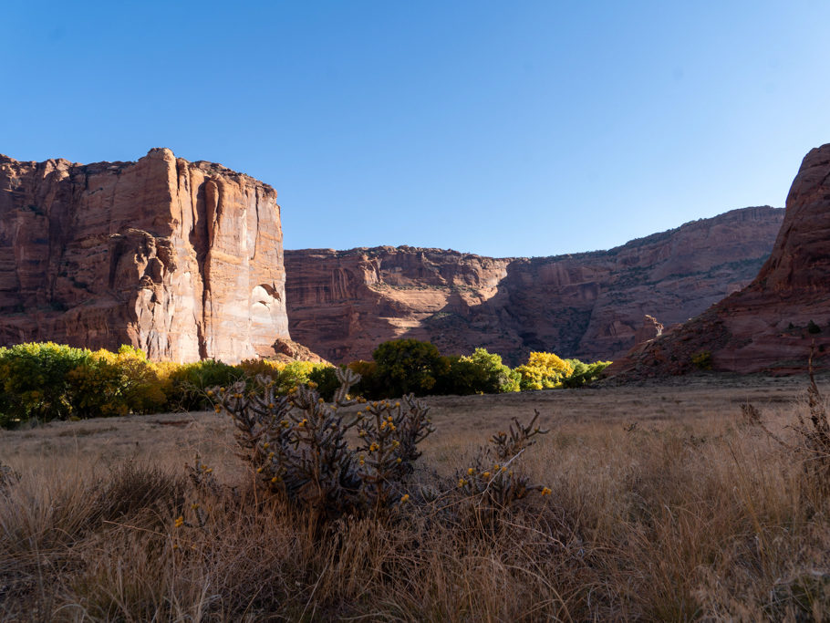 Frühmorgendlicher Blick in den Canyon de Chelly