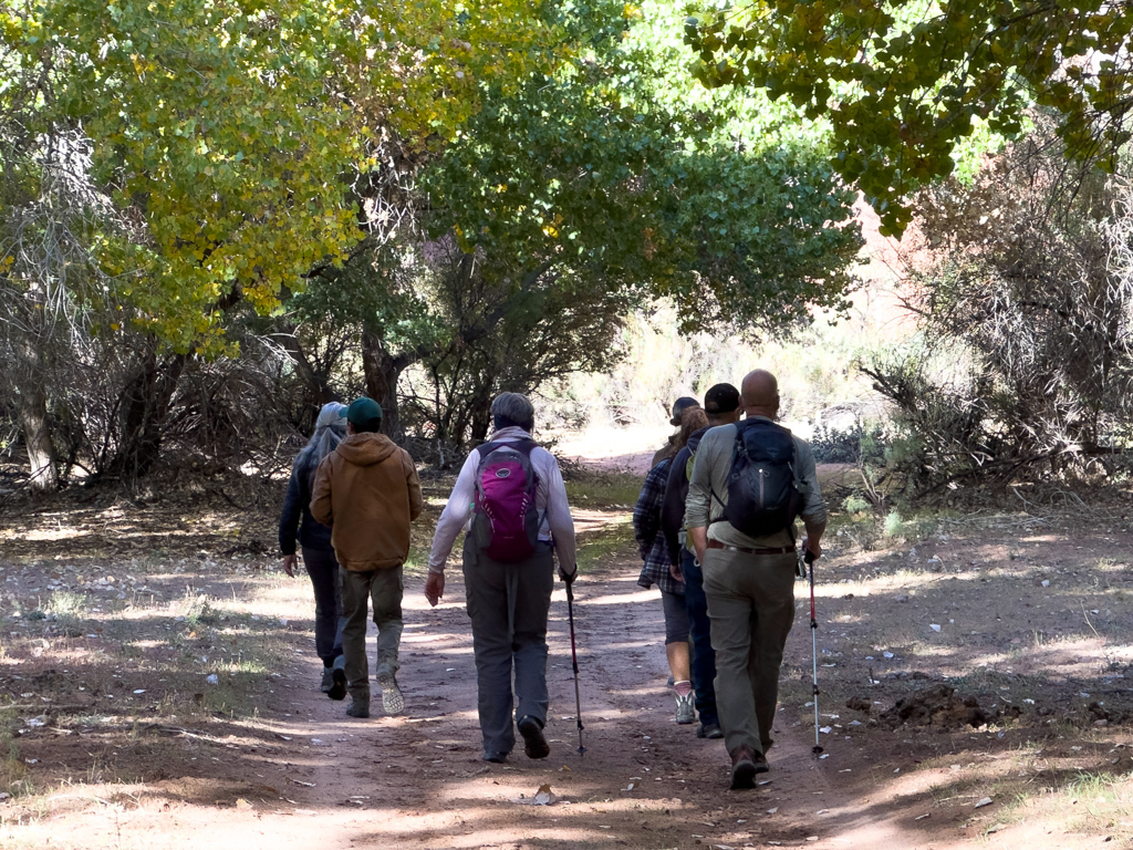 Unserer Gruppe bei der Wanderung im Canyon de Chelly
